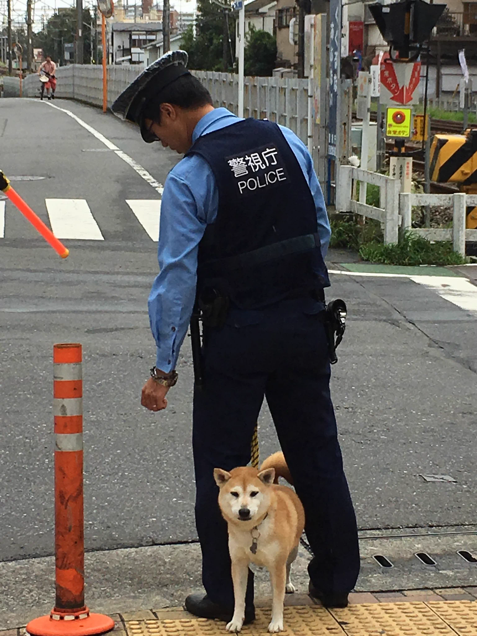こんなに可愛い警察犬いるのww仕事できなくても許すわww