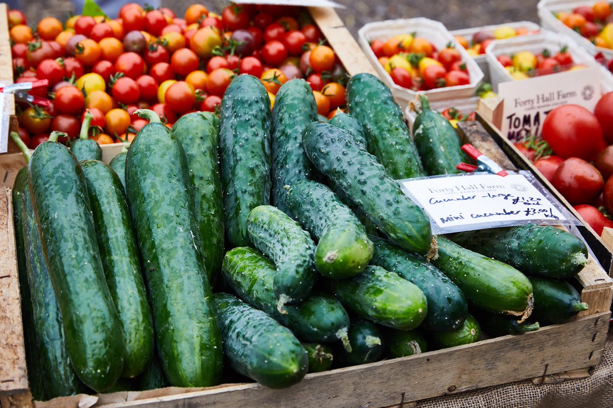 Food Gatherer tweet media
