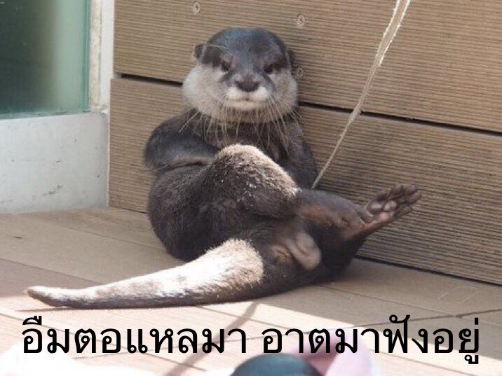 NoppadonNaHee's tweet photo. อืมค่ะ #มิ้งโป๊ะแตก https://t.co/aUxdl2Vw8Z