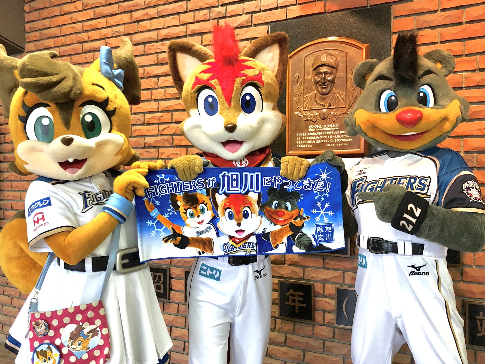 希少 北海道日本ハムファイターズ 大谷翔平投手三冠への軌跡 アクリルキーホルダー DVD「北海道日本ハムファイターズ 大谷翔平 投手三冠への軌跡