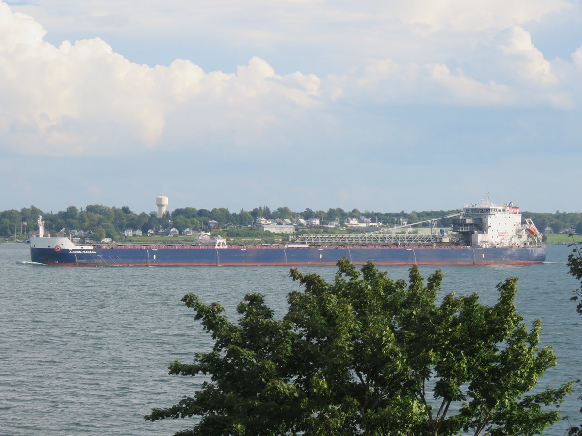 PrescottAnchor's tweet photo. 3 Sept 2018 down #StLawrenceSeaway at Prescott ON 17h10 Algoma Niagara SDBC flagged Canada for Quebec City QC #AlgomaNiagara #Algoma https://t.co/6hctatRQdX