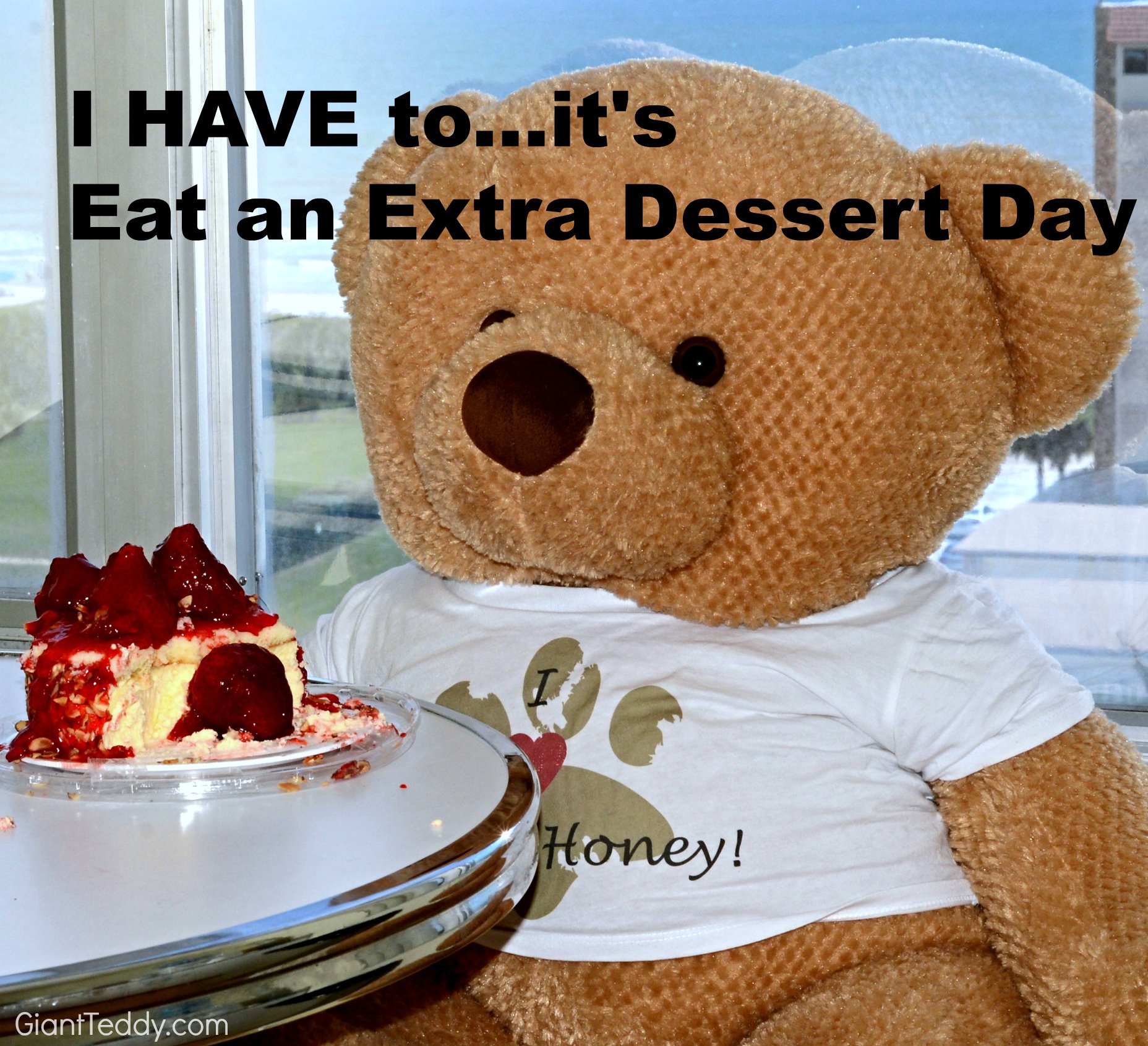 Giant Teddy Bears on Twitter: Giant Teddy Bears on Twitter:
