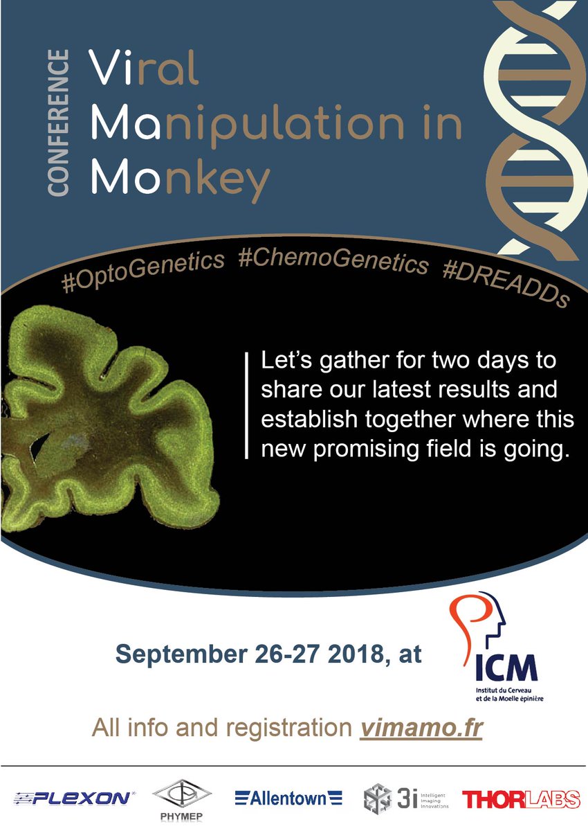 impulse_science's tweet photo. I'm organizing this conference for Sébastien Bouret, team leader at the ICM. 
𝐏𝐮𝐫𝐩𝐨𝐬𝐞: How to apply to primates all the genetic tools developed in rodents?
𝐒𝐩𝐞𝐜𝐢𝐟𝐢𝐜𝐢𝐭𝐲: Lots of time for discussions
All info and registration: https://t.co/rQeQho7vGC https://t.co/kLzFgz98CA