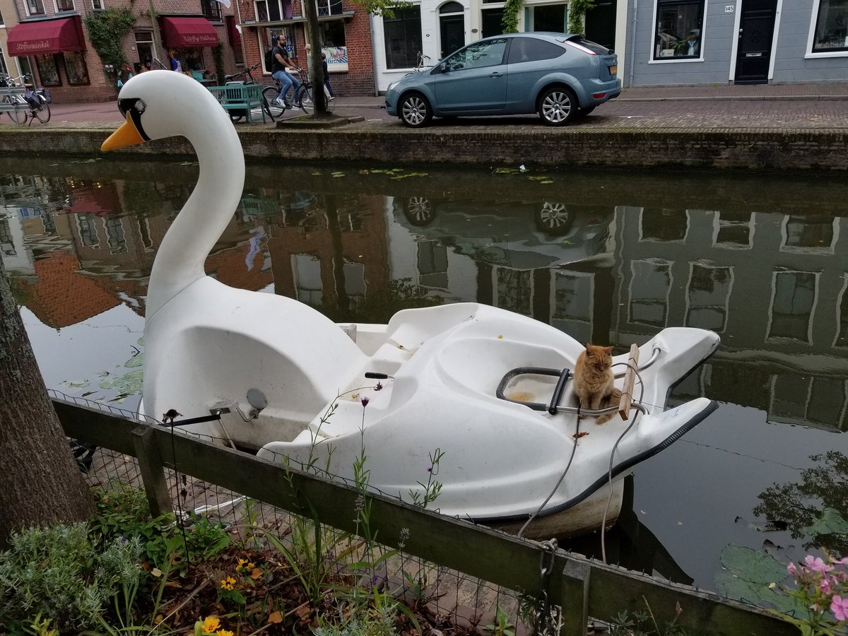 kreschen tweet media