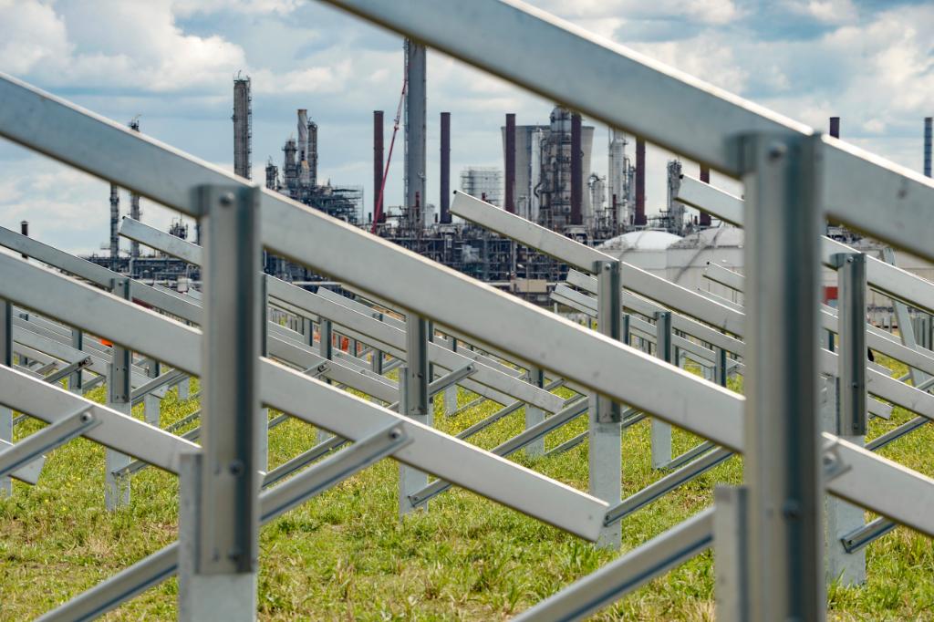 Ward Gorter (@WardGorter) | Twitter