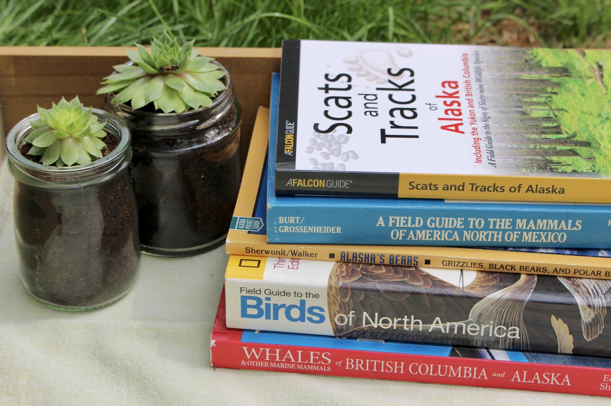 emilygilford's tweet image. Some light outside reading before #FieldYukonAlaska...📚

Really excited to get going - only a week to go! 📆

(Featuring a little Harlequin ladybird larvae 🐞) 

#fieldcoursefortnight @UoEFieldYukon