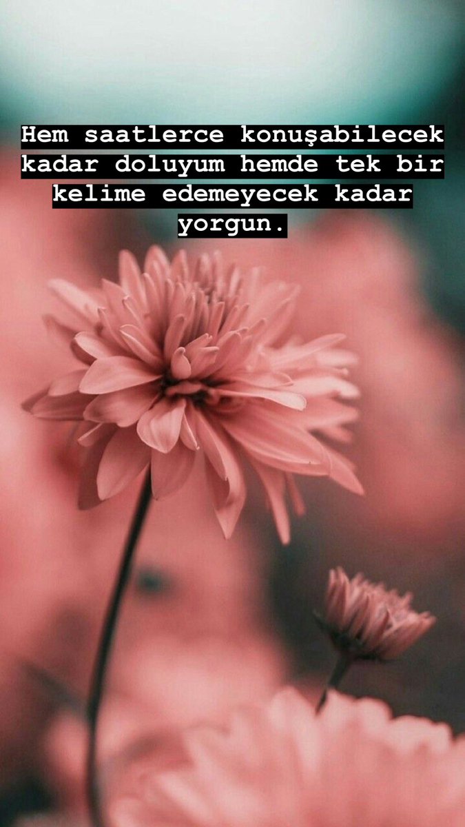 Birsuuu (@birsucann) on Twitter photo 