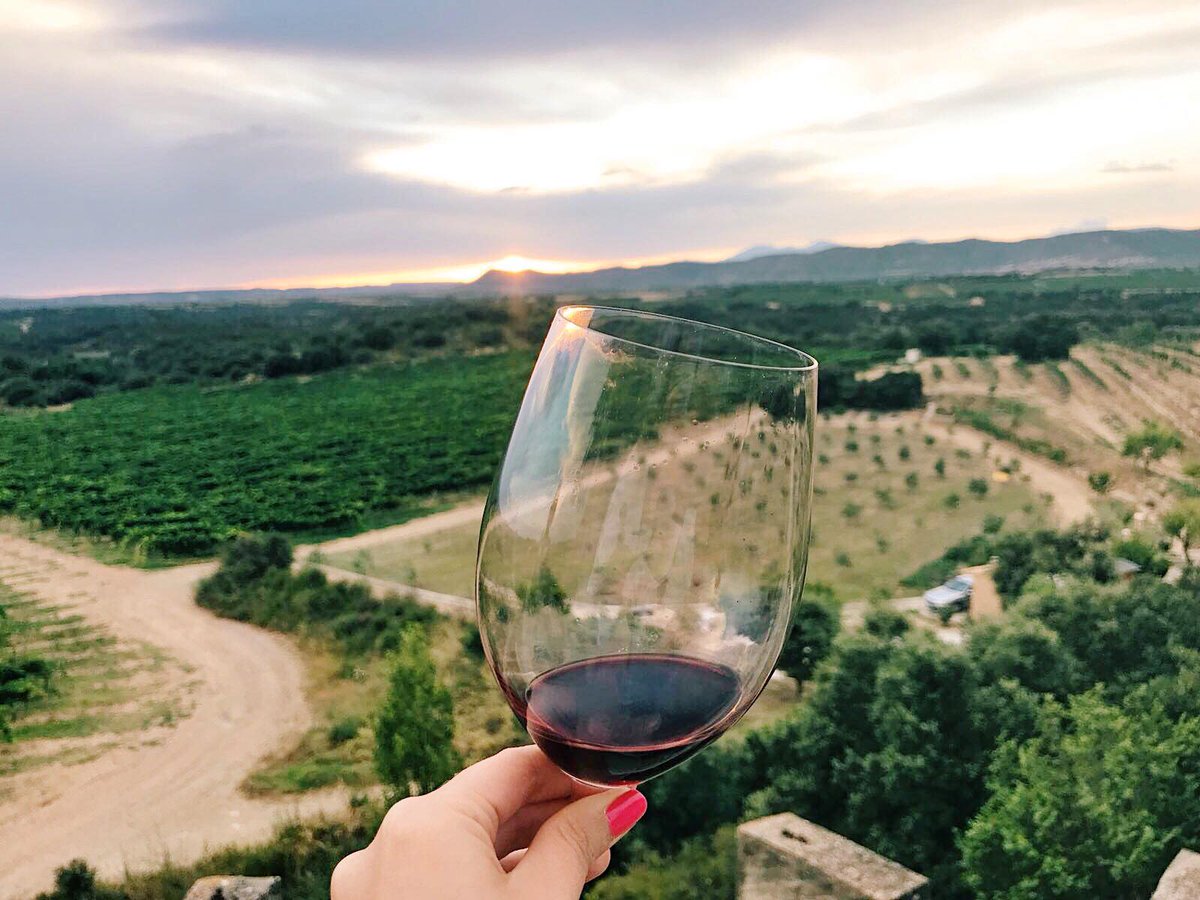 Vinopremier's tweet photo. ¡Así de bonitos son los atardeceres en el Somontano! Un Viñas del Vero en la mano y la mejor compañía para disfrutar del verano al máximo. 😍🍷✨ @Gonzalez_Byass @VinasdelVero  Gracias por la foto https://t.co/uAU29jPszU