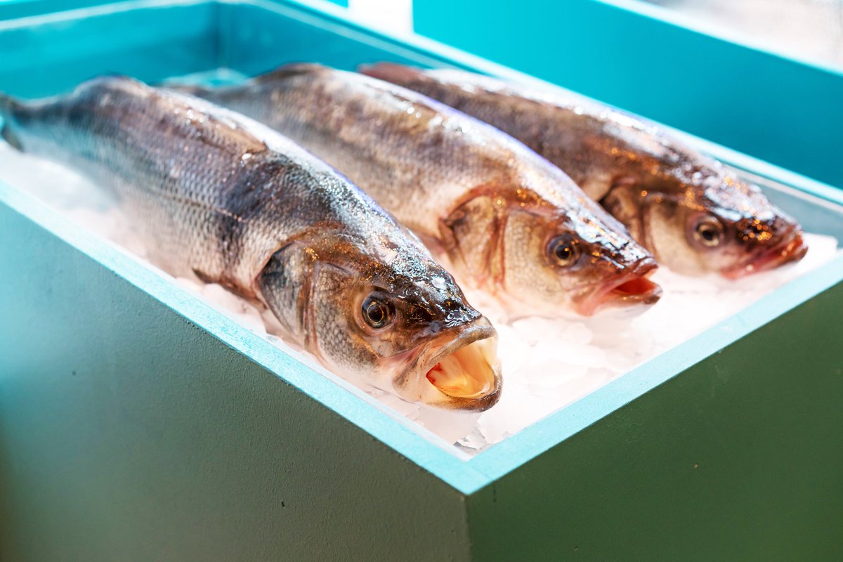 Antonio de Miguel SA tweet media