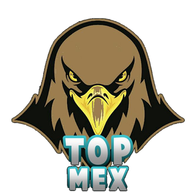 TopMexOficial's tweet photo. *Rooster #TopMex*
Presentamos a los Jugadores de competitivo:
🇲🇽Eric @XylonCR
🇲🇽Papul @Papul_12
🇨🇴Yram guavita @CamiloBautistaF
🇪🇨 Daniel @DanielyPaolaCR
🇵🇾Maggi figueredo
🇲🇽Mario_ST1
🇻🇪Ml10 @ML10cr
🇻🇪SaulInTheGame @SaulITGCR https://t.co/jndayA6vZx