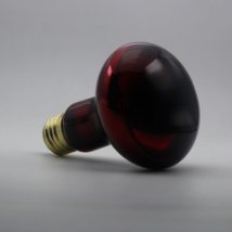 youngfinelight's tweet photo. Heat Lamp Bulb for Reptiles #lamp
If you want to consult, you can leave your email, we will contact you
https://t.co/VlnzbcDqSR https://t.co/cZnRmlhfFf