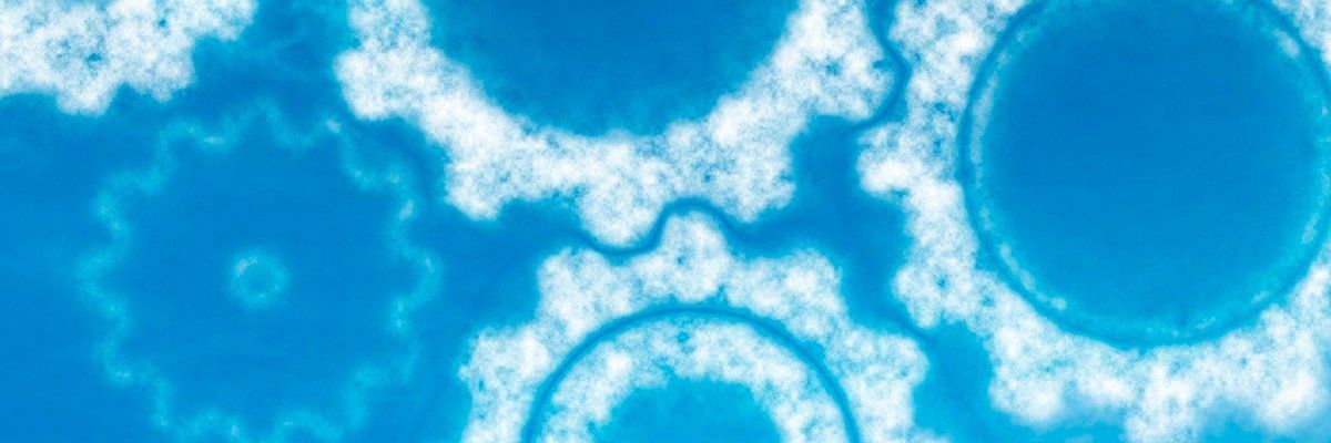 ShapingCloud's tweet image. Useful overview of #virtualstorage options via @ComputerWeekly buff.ly/2wxYHyO