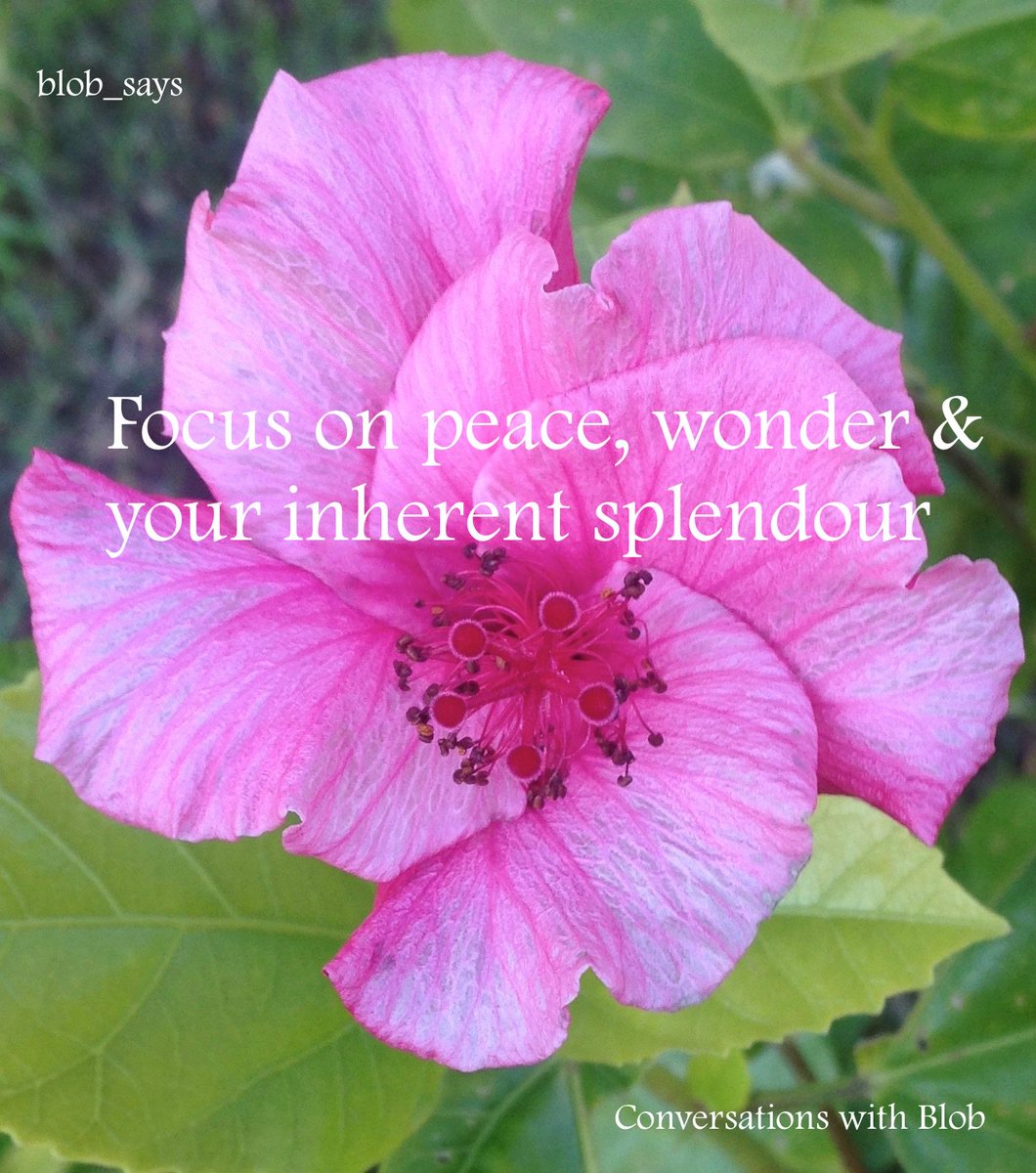 Focus on peace, wonder and your inherent splendour. Don't just read the words. DO IT, for you are GREAT! #peace #love #universalwisdom #spiritualwisdom #meditation #meditationspace #spiritualawakening #youaredivine #youarelove #youareloved #iloveyou #positiveaffirmations