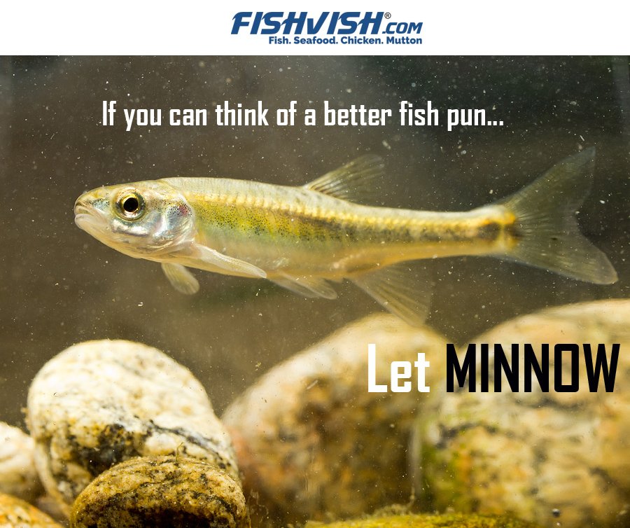 Fishvish's tweet photo. Feel free...π
#DeliveredToYourDoorstep #HomeDelivery #OrderOnline #Ordernow #meat #enjoyfood #Fishvish #meatforall #TuesdayThoughts https://t.co/OKFLMr1OiG