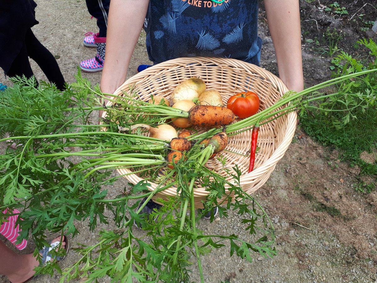 InBredius's tweet photo. Dat wordt een lekker soepje met verse groente en kruiden van de moestuin van @brediuspark onder begeleiding van Marita van #blaadjesendraadjes! #allegroentenindesoep dankzij @groendoetgoed van @ProvUtrecht https://t.co/nAQdbBv8YQ