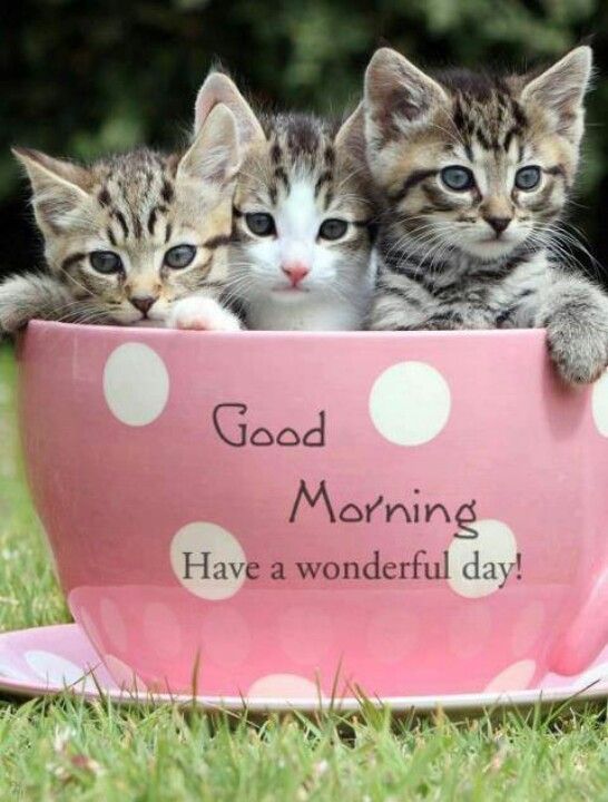 ginestarros's tweet photo. @MarEthr @Stallion_Team @PaulTwigg4 @tinatwitte482 @jerri_lard @vivaciousStar2 @Jen2Gain @vilaandrealili1 @M_MartinezRed @Quinnqueens @LeillaLuna @Ruby2211250220 @SimpleGain @am102358 @8BallGreg @marethr63 #RT2GAIN 50+ followers FAST
🐎#TEAMSTALLION 👈
🔥#1DDrive 👈
#FF☞ @MarEthr👈☕🌸
@Stallion_Team @PaulTwigg4 @tinatwitte482 @jerri_lard  @vivaciousStar2 @Jen2Gain @vilaandrealili1 @M_MartinezRed @Quinnqueens @LeillaLuna @Ruby2211250220  @SimpleGain @am102358 @8BallGreg @marethr63 https://t.co/cDAreAnmDi