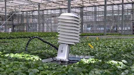 RoyalBrinkmanUK's tweet photo. @FourOaksTS starts today! We have a lot to say about how live data can help agriculture improve harvests and prevent waste. 🤗 Did you spot the sensor already in our stand? 👀 #HallD #Stand49 #agritech #smartfarming #30MHz #FourOaks18 https://t.co/uul5Go2zNa