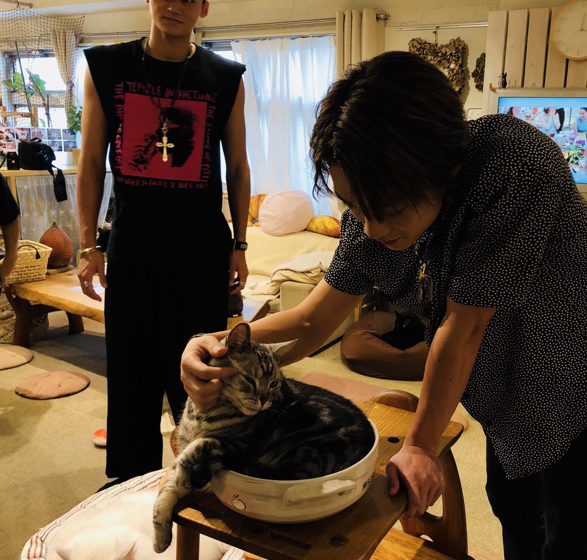 therampagefext's tweet photo. ��原樹です！

月刊EXILEの撮影で猫カフェに行ってきました🐈
超癒されました(￣▽￣)

皆さん楽しみにしていて下さい✌️ https://t.co/8kIa3zhkgl
