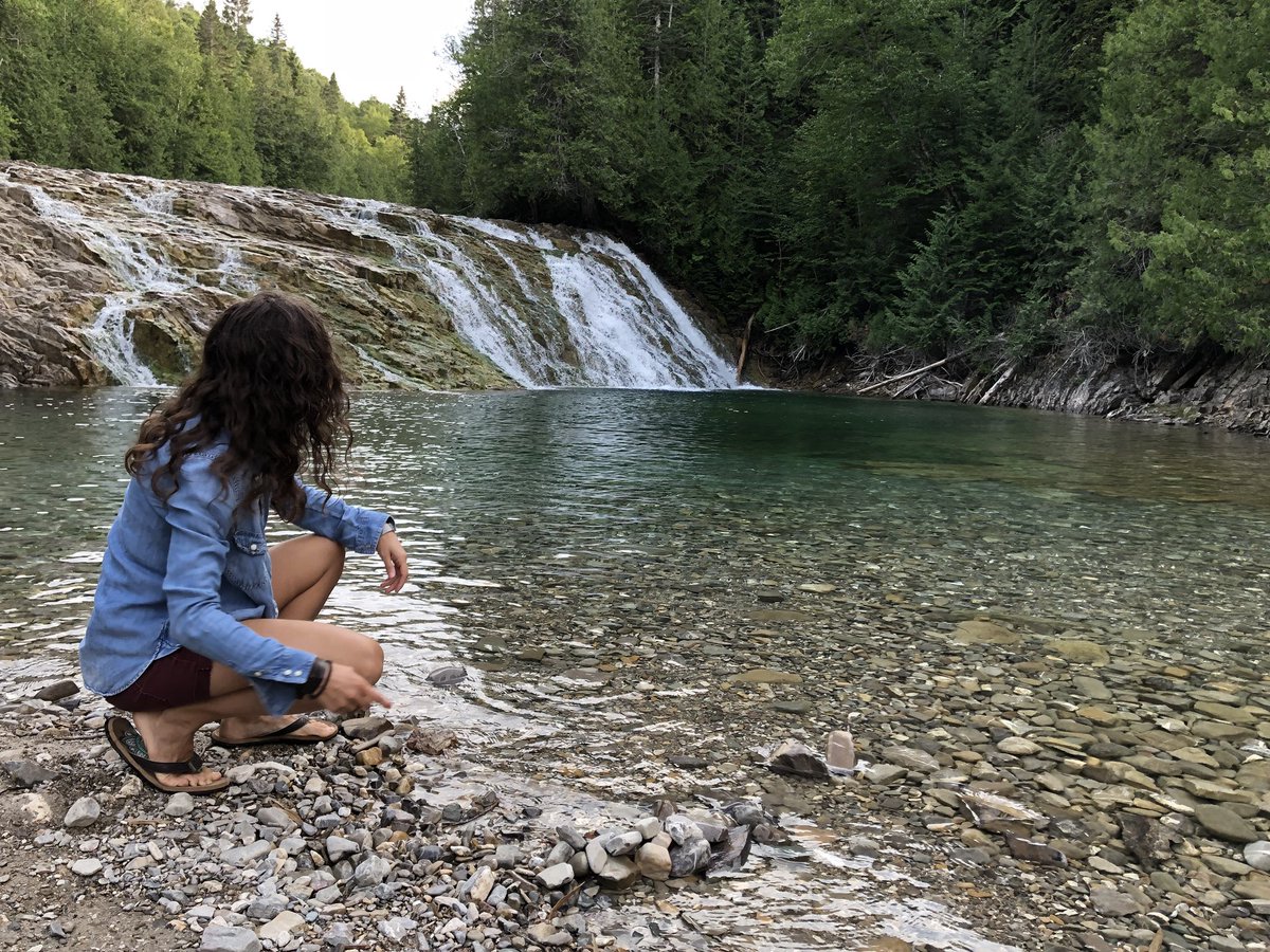 Découverte Monde tweet media