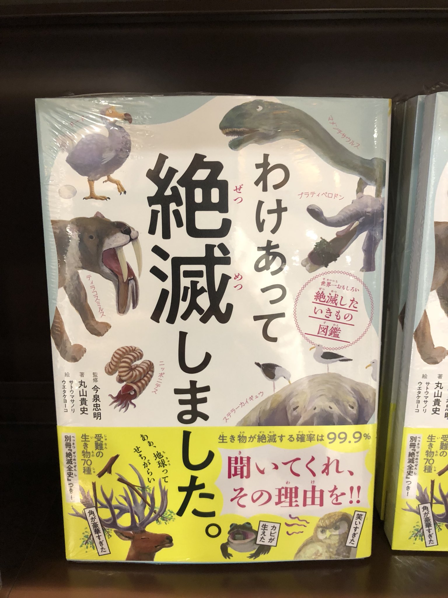 蔦屋書店龍ケ崎店 On Twitter ほんのご紹介 わけあって 絶滅しました ダイヤモンド社 発売早々 ベストセラー 売れてます 受難の生き物70種 なんだかせつないです ダイヤモンド社 絶滅 Https T Co Fwdt6ncxge Twitter