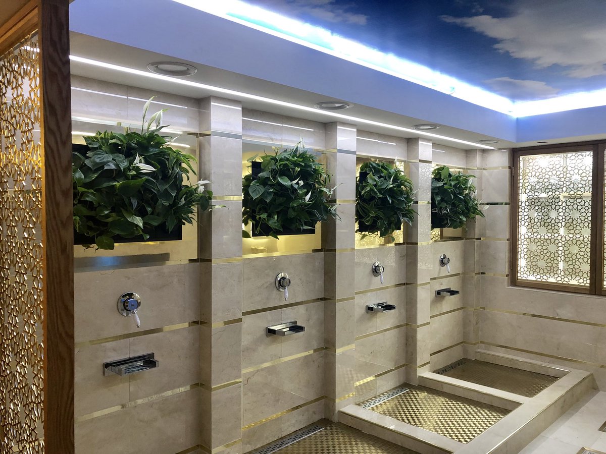 Gold and copper surrounds for these small living walls. Such a privilege to install these in such a beautiful building 🍃 #gold #plants #livingwall #indoorplanting #copper #interiordesign