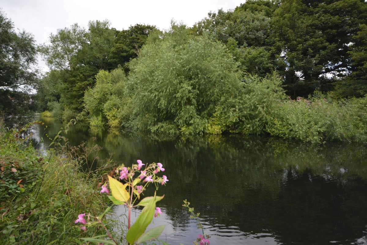 Flynnassoc's tweet image. #newtomarket #chapelizod #developmentpotential myhome.ie/residential/br… @MyHomeProperty