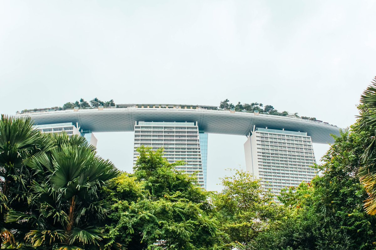 stillryancond's tweet photo. Singapore 👌🏼 https://t.co/wHOgMMxJNl