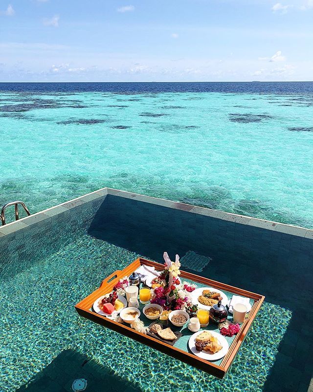 omaldives's tweet photo. Ayada #Maldives 
Photo @myrluka #poolday #summer #oceanview #privatevilla #hotel #islandlife #luxuryhotel #honeymoon #mood https://t.co/TNiDJrg6tV