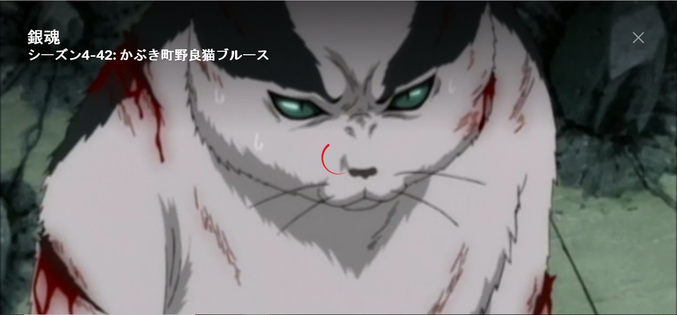 ムスタング 38 佐々木三八 A Twitter 昼間ヒマだったからnetflixでまた 銀魂 の秋元羊介さん 衝撃様 回観てた O 罒 O Netflix 銀魂 秋元羊介 ホウイチ ジャイアントロボ Gr 衝撃のアルベルト T Co Yf4pyy4czt T Co Gzwdmd2b2q ムスタング 38 佐々木三八 A Twitter 昼間ヒマだったからnetflixでまた 銀魂 の秋元羊介さん 衝撃様 回観てた O 罒 O Netflix 銀魂 秋元羊介 ホウイチ ジャイアントロボ Gr 衝撃のアルベルト T Co Yf4pyy4czt T Co Gzwdmd2b2q