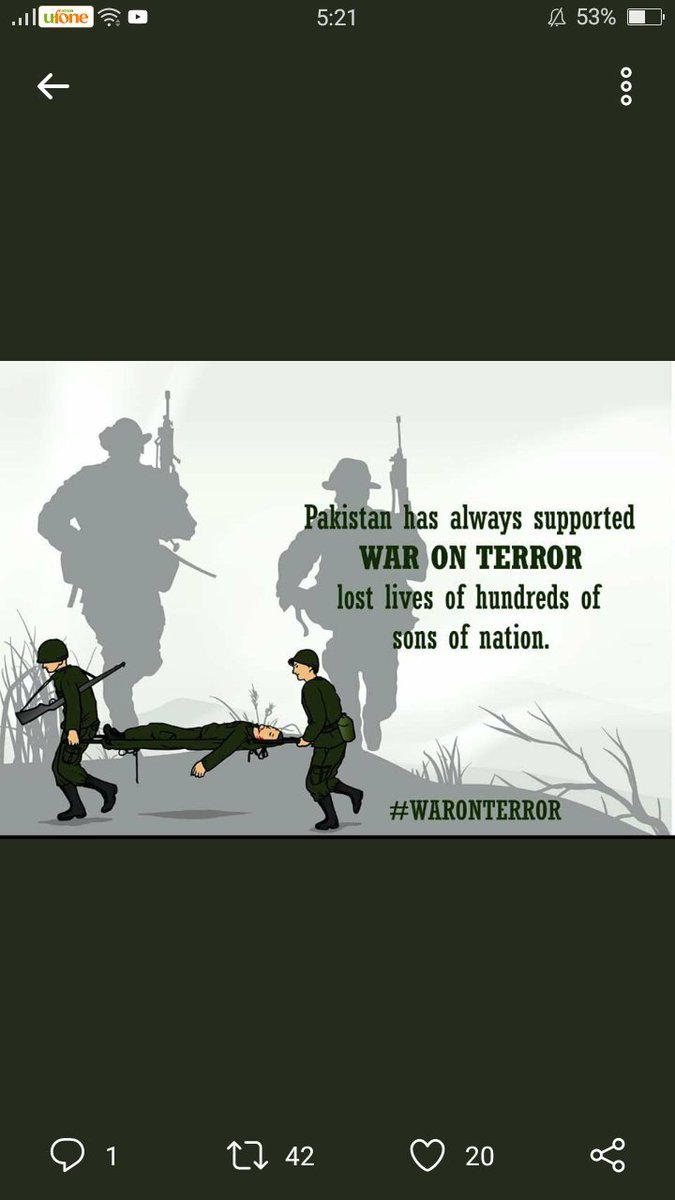 FatmaFaraz's tweet photo. Its totally injustice to blame Pakistan for terrorism. Now its time for the world to recognise who we are! #PakistanStandsWithTruth https://t.co/g1AJgzYbfk