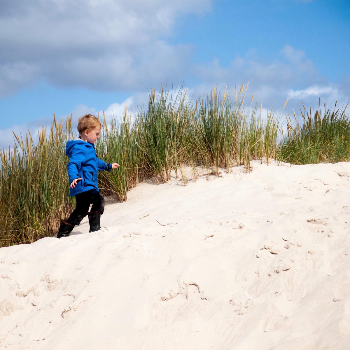 Winter weekend breaks at our #cambersands #seasidecottages cottages are special. Find out more bit.ly/CamberSandsWee… #dogswelcome #familyfriendly #weekendbreak #letsunwind #thesaltydog #rocklobster