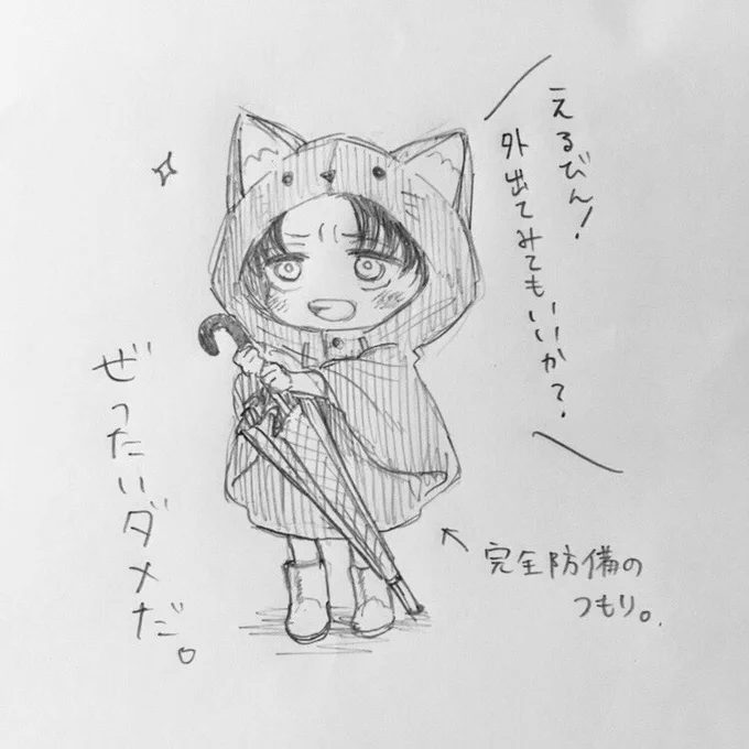 台風来たっぽいですね。 