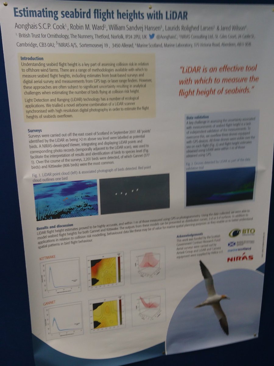 AonghaisC's tweet photo. Come along to the #seabirds18 poster session this evening to find out about #BTOResearch with @marinescotland & NIRAS on using LIDAR to estimate seabird flight heights https://t.co/3T2Pv0yqPo