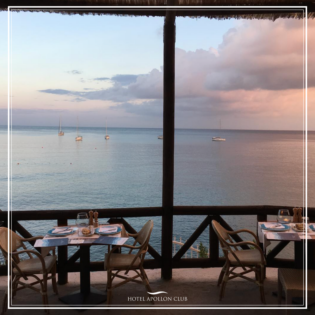 Hotel Apollon Club tweet media