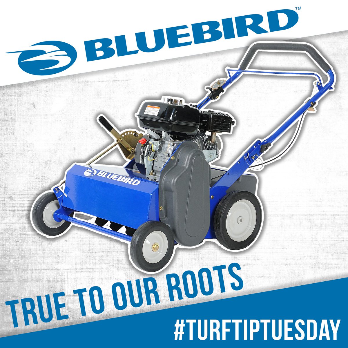 When should you seed? For northern lawns, fall offers the right combination of the soil being warm, while the air is cool - providing optimal soil conditions. #TurfTipTuesday      bluebirdturf.com/product-catego…