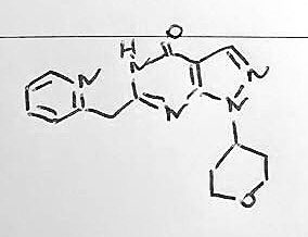 EuroMedChem's tweet photo. #FirstTimeDisclosures yesterday at #EFMC_ISMC2018 #Ljubljana
➡️ #BI409306 a #PDE9Inhibitor for the Treatment of CNS Diseases
by @Boehringer https://t.co/86drEMmQMA