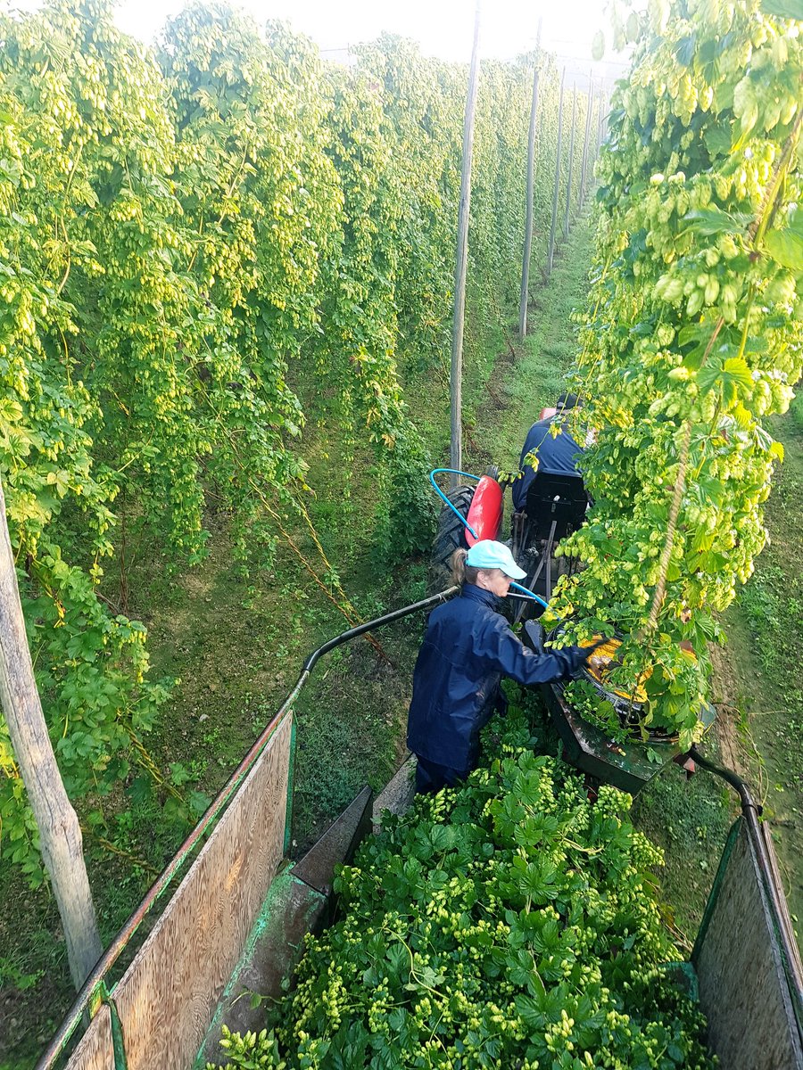 Mark Batt tweet media