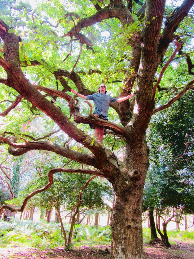 Spot the #sky !! #TreeofLife #tree #meditate #lovenature #love #nature #outdoors #climbing
