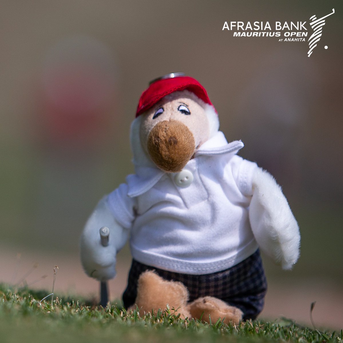 Have you ever met a Dodo before? We would like to introduce you to the newest member of the #AfrAsiaBankMauritiusOpen team! We are on the quest of finding a name for him &amp; hoped you could help.

Reply to this tweet with your suggestion &amp; include #ABMODodo.
#Mascot #NewTeamMember