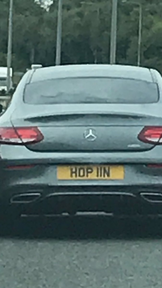 Shane Nicholson tweet media