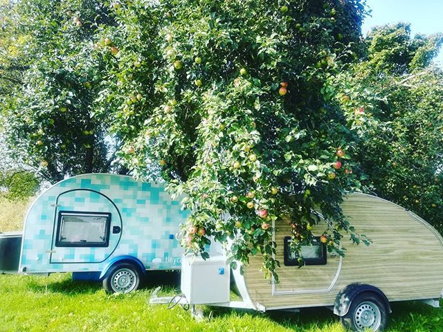 tinycamper_eu's tweet photo. When I can smell the apples and hear how the spiders weave the webs in the trees...🍂🍁
#tinycamper #teardrop #teardroptrailer #minicamper #minicaravan #easytravel #autumnday https://t.co/MWN3aOdVhg