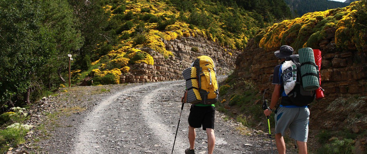 guardiacivil's tweet image. ¿Te vas al monte⛰? Estupendo, pero mejor si te llevas estas cosillas en la mochila 🎒 por "si aca" 👇👇

✅ GPS
✅ Móvil (cargado)
✅ Mapa
✅ Brújula
✅ Silvato
✅ Agua
✅ Protector solar y labial
✅ Bolsa (para basuras)
✅ Ropa y calzado apropiados.