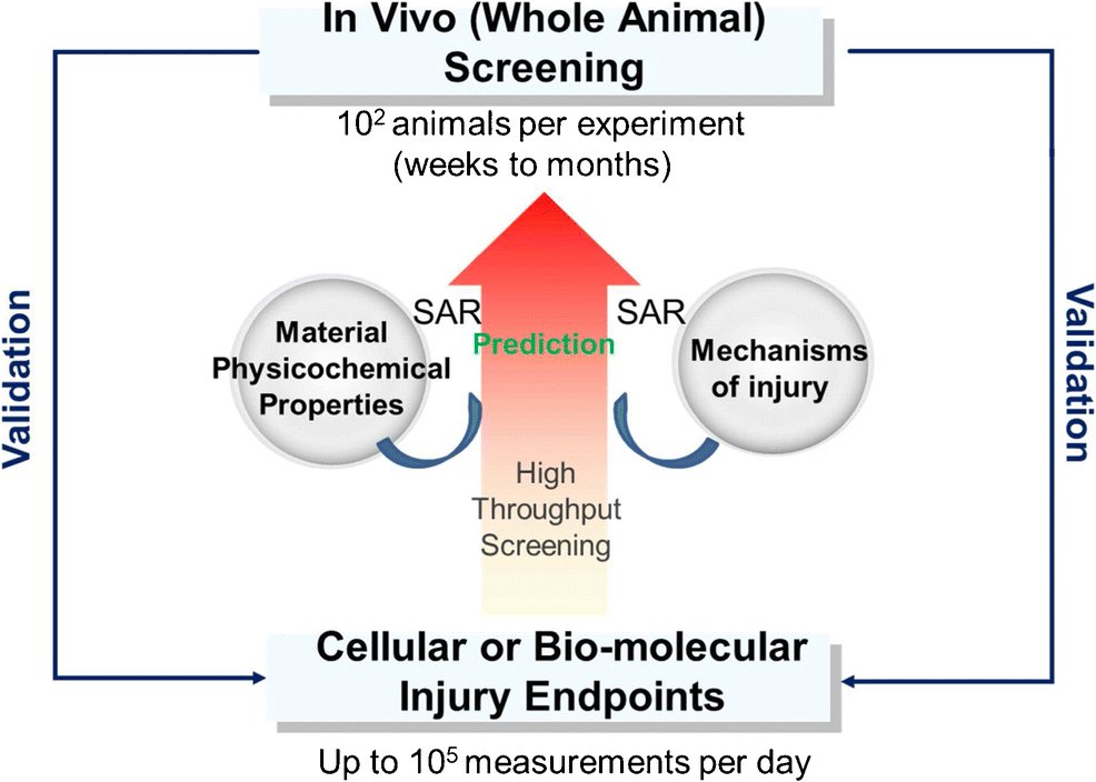 AnalBioanalChem's tweet photo. Creative use of #analytical techniques and high-throughput technology to facilitate #safety assessment of #engineered #nanomaterials
by Tian Xia et al @UCCEIN @cnsiatucla 

https://t.co/XnrVhRvHP8 https://t.co/ENo14VigA5