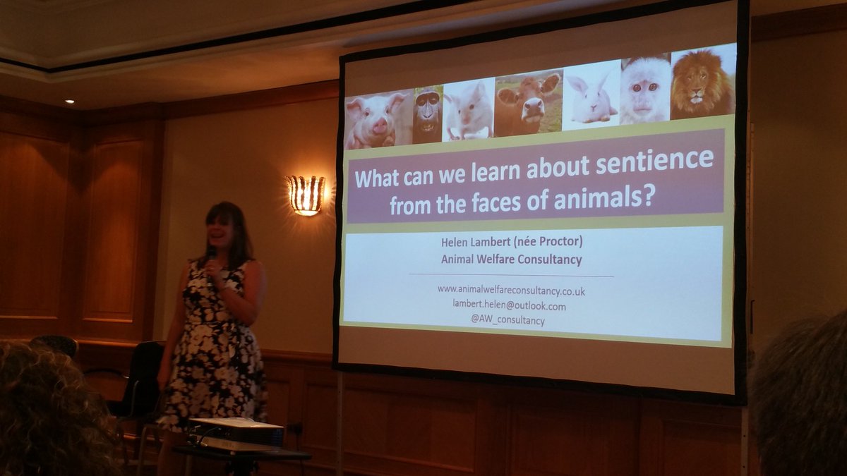 WandaMcCormick's tweet photo. Talk 4 looking at #animal #sentience and faces with Helen Lambert #AWRN18AM @AW_consultancy https://t.co/04PYlNmKf4