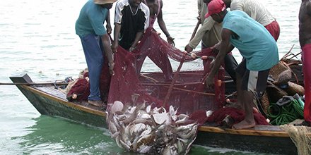 NLNetherlands's tweet photo. The #Netherlands supports #Tanzania developing their #fishfarming industry by putting up a model farm for teaching purposes near Dar es Salaam. (Via @TheGuardiantz) https://t.co/hCRg65KafR @Verheul_Jeroen https://t.co/23qHs3dav4