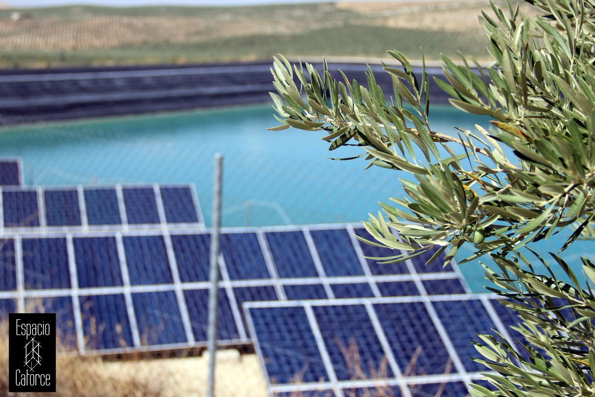 Visitamos #Larva para ver el estado de la instalación fotovoltaica para bombeo de riego en olivar de 1.200 hectáreas. Un trabajo en el que se ha desarrollado una reparación del talud norte en la balsa de regadío, que cuenta con una capacidad de 400 metros cúbicos.