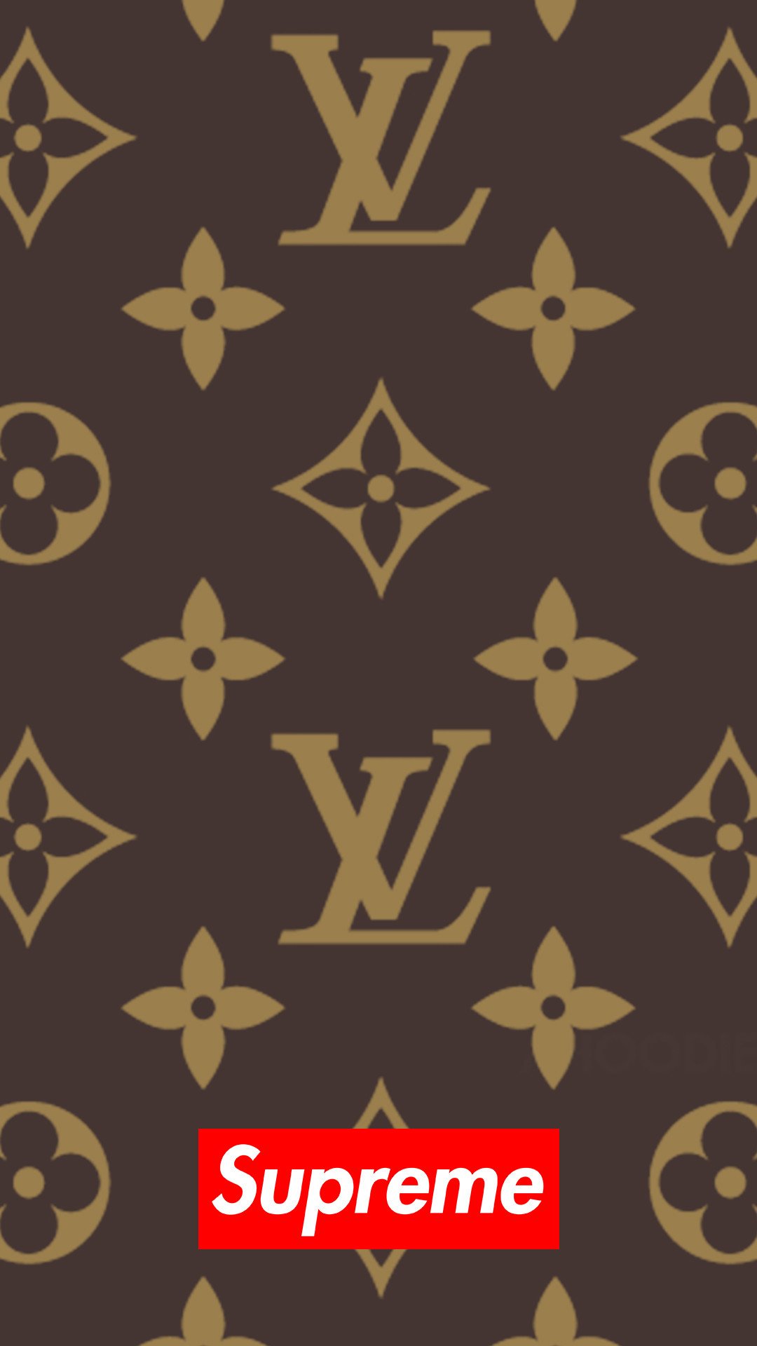 aesthetic louis vuitton model