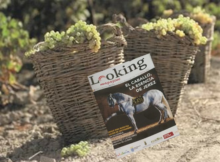 LookingMagazine's tweet image. La vendimia es una de esas fechas en las que los #jerezanos nos sentimos orgullosos de nuestra tierra...#OrgulloJerezano

Busca el programa del mes de septiembre en nuestra revista @LookingMagazine
lookingmagazine.com