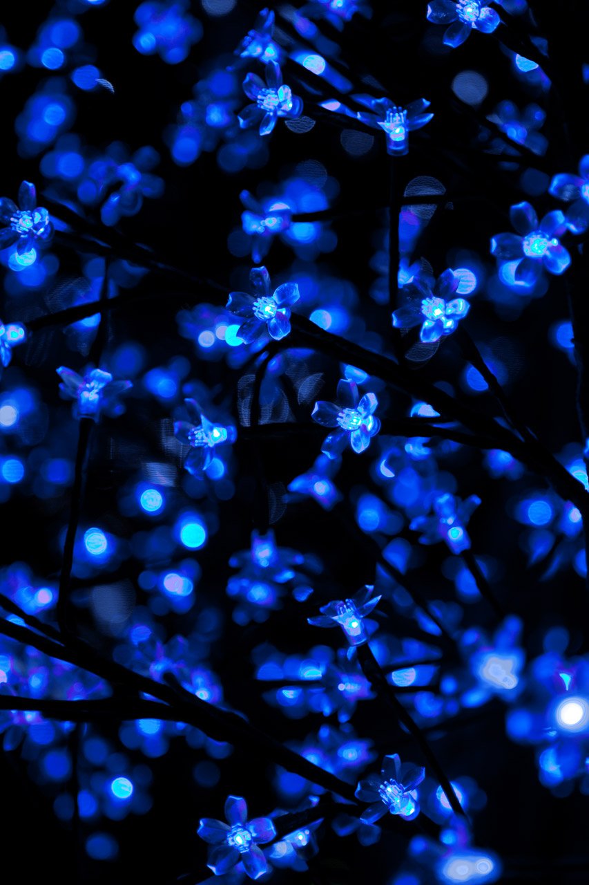 Blue Cool Black and Neon Blue HD phone wallpaper  Pxfuel