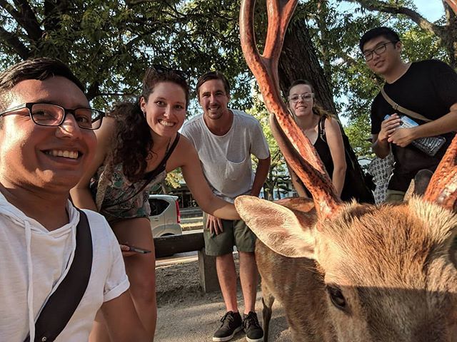 CPPStudyAbroad's tweet photo. @seinnos
• • • • •
A swell time with the deer of Nara
.
.
.
.
.
.
.
#cppla #cpparc #cppstudyabroad #cppenvchina #landscapearchitecture #architecture #nature #deer #japan #summer https://t.co/l5bJmNyv0U https://t.co/xS96nmTBgs